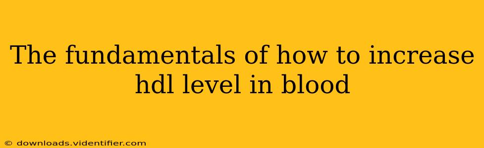 The fundamentals of how to increase hdl level in blood